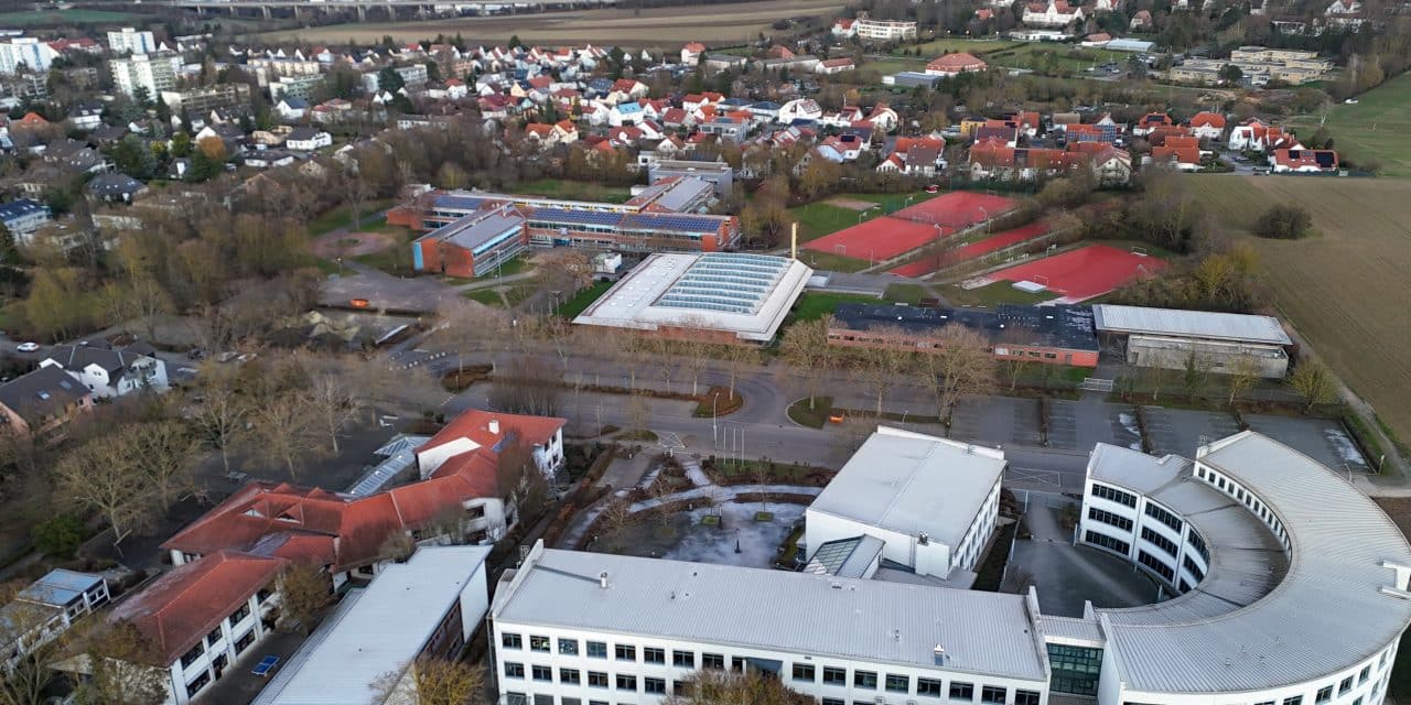 Gustav-Heinemann-Realschule Plus greift durch: Saatkrähen werden vertrieben