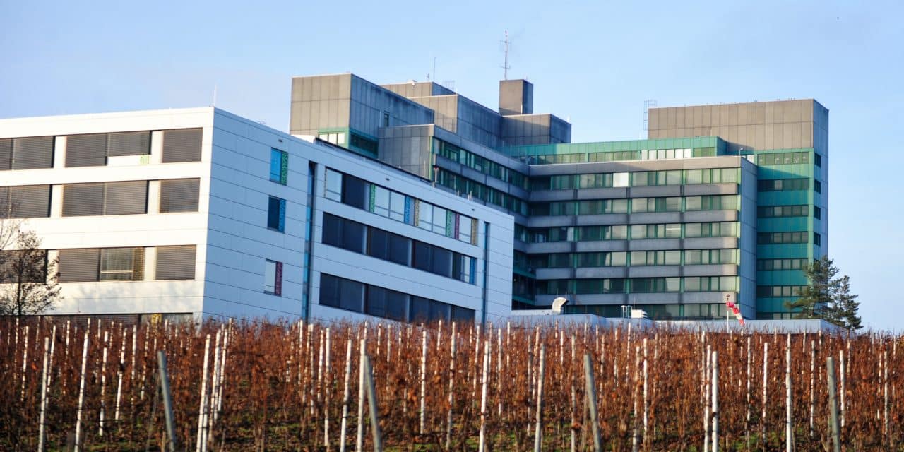 134.664 Euro für Wormser Geburtsklinik – Starke Hilfe für die Gesundheit vor Ort