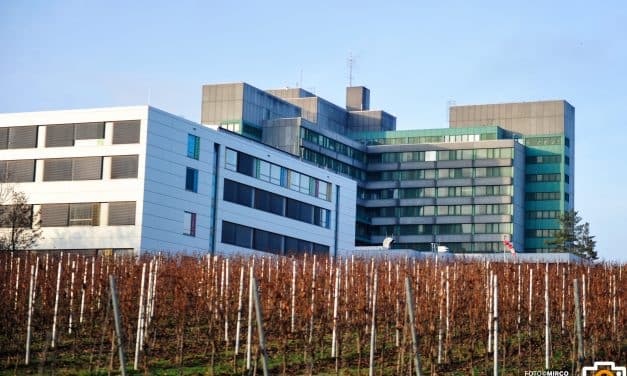 134.664 Euro für Wormser Geburtsklinik – Starke Hilfe für die Gesundheit vor Ort