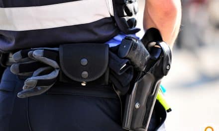 Giftköder an Feldweg bei Asselheim entdeckt – Polizei warnt Tierbesitzer!