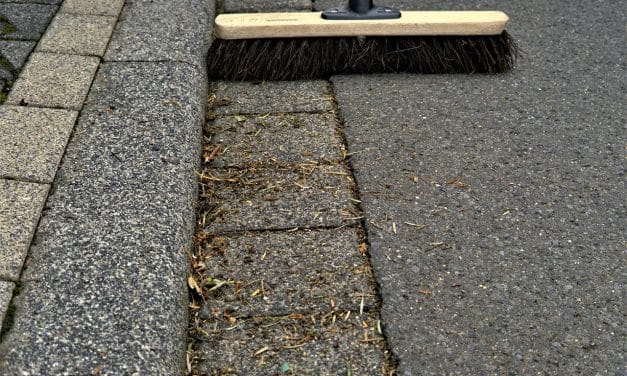 Sauberkeit in Worms: Wer räumt vor Ihrer Tür?