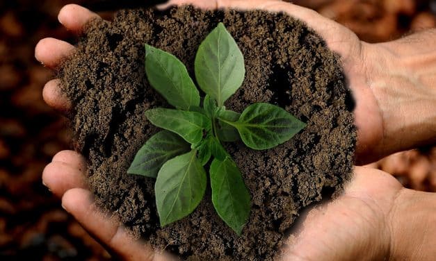 Vom Konzept zur Praxis: So will die ebwo AöR nachhaltiger werden