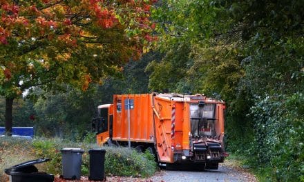 Nach den Feiertagen: Ebwo unterwegs in Worms und den Ortsteilen