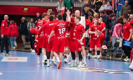 Auswärtsspiel in Großwallstadt: Eulen wollen Punkte mitnehmen