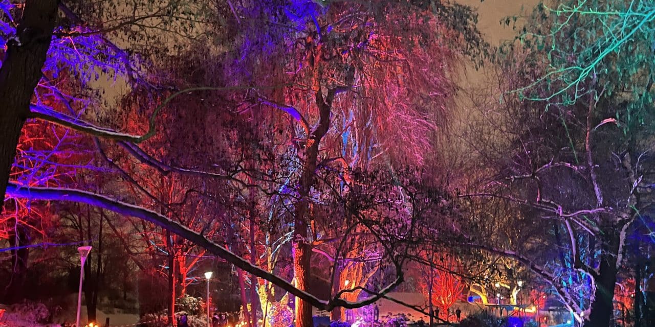 Letzte Chance für Winterlichter: Luisenpark leuchtet nur noch bis 8. Februar