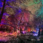 Letzte Chance für Winterlichter: Luisenpark leuchtet nur noch bis 8. Februar