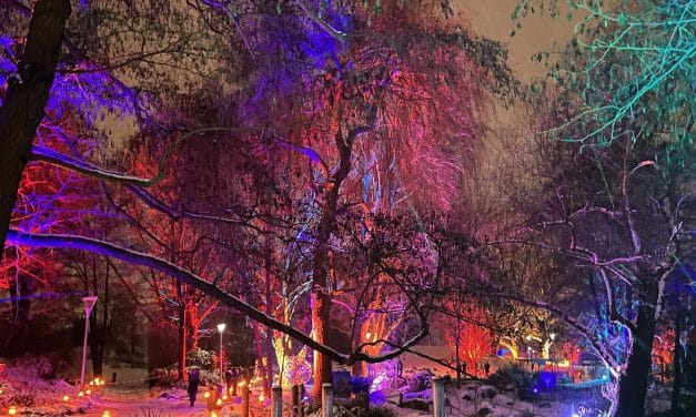 Letzte Chance für Winterlichter: Luisenpark leuchtet nur noch bis 8. Februar