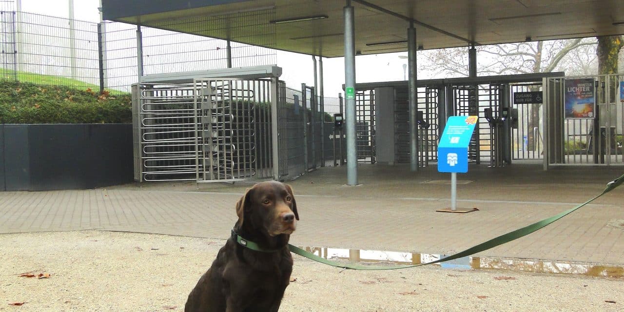 Premiere im Luisenpark: Erster Hundetag am 22. Februar 2026