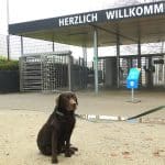 Premiere im Luisenpark: Erster Hundetag am 22. Februar 2026