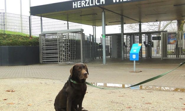 Premiere im Luisenpark: Erster Hundetag am 22. Februar 2026