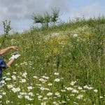 Naturfreunde aufgepasst: BUNDspechte brauchen Verstärkung!