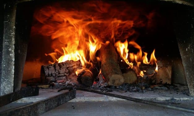 Landkreis Alzey-Worms fördert Ofenführerschein mit 500 Lizenzen