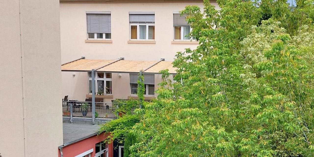 Worms sorgt vor: Hitzeschutz für Senior:innen im Burkhardhaus