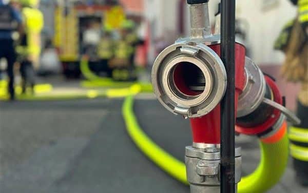 Feuer zerstört Haus in Worms – Bewohner verletzt, Katze unversehrt