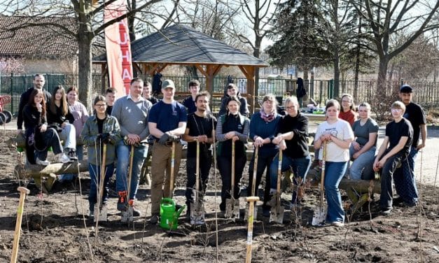 Waldinsel auf dem Schulgelände – Natur erleben, Verantwortung lernen