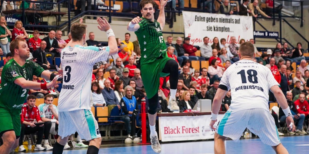 Grüne Hoffnung in Dresden: Eulen fordern Elbflorenz heraus