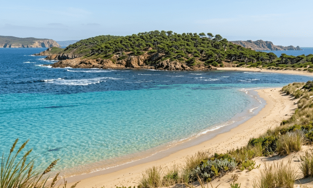 Schildkröten im Rheinhessenmeer: Spannendes Themenwochenende im Museum Alzey