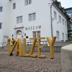 Schildkröten, Urzeit und Forschung: Museum Alzey lädt zu besonderem Themenwochenende ein