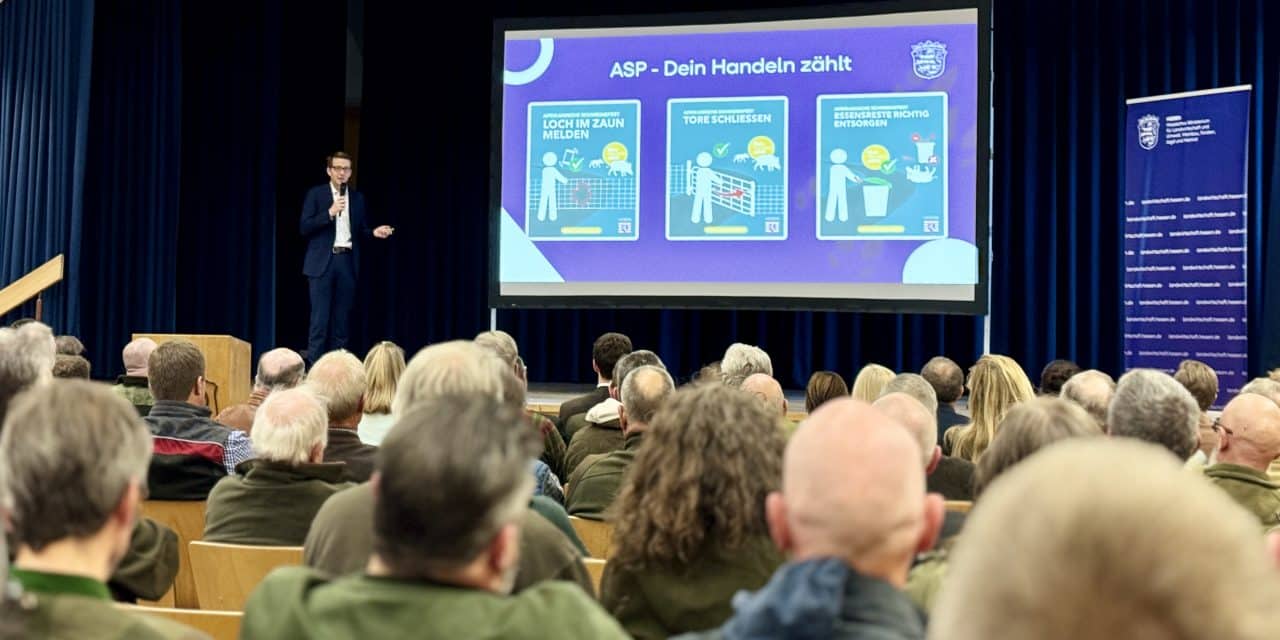 Hessen im Kampf gegen die Afrikanische Schweinepest: Land setzt auf nächste Bekämpfungsphase