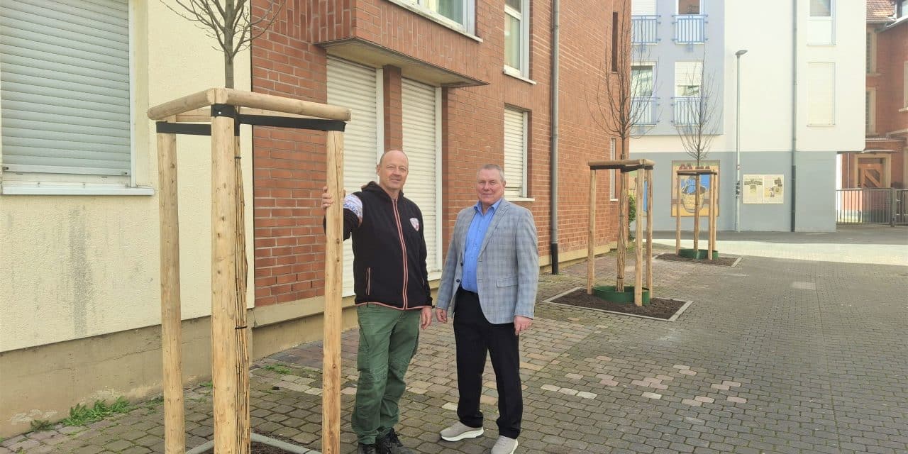 Metzgergasse in Bad Kreuznach neu gestaltet: Mehr Grün und Aufenthaltsqualität