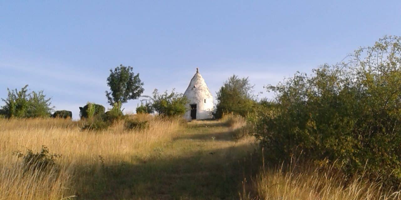 Auf Entdeckungstour: Geführte Wanderung am Küstenweg Rheinhessen