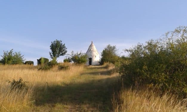 Auf Entdeckungstour: Geführte Wanderung am Küstenweg Rheinhessen