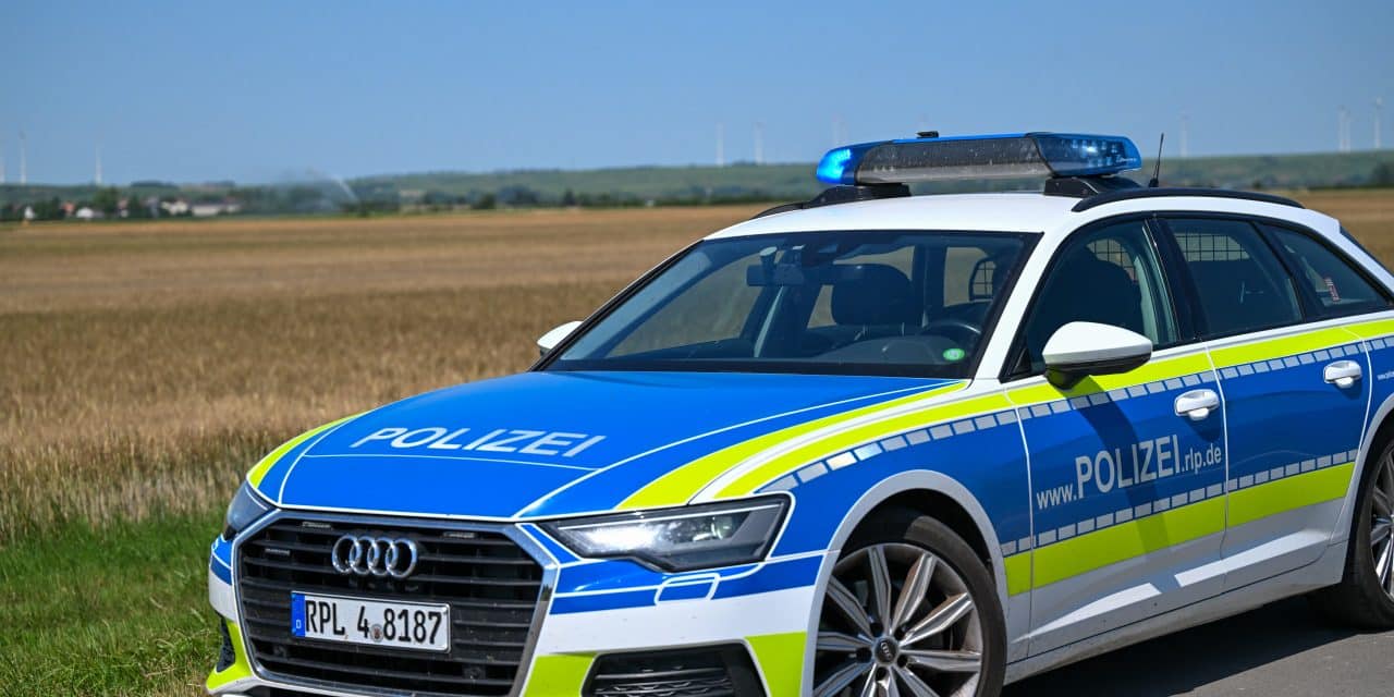 Ohne Fahrerlaubnis am Steuer: Verkehrsteilnehmer kollidiert mit Polizeiauto