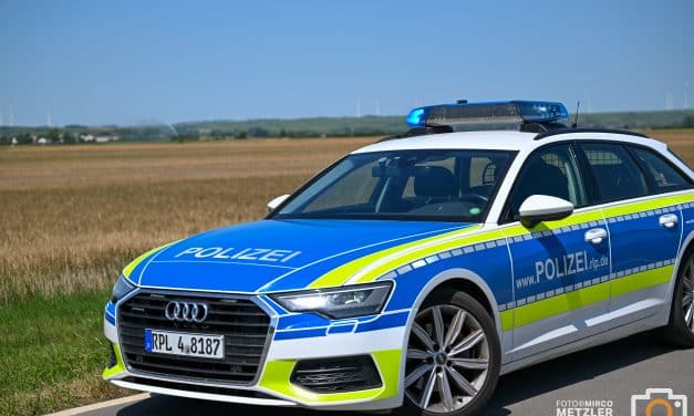 Ohne Fahrerlaubnis am Steuer: Verkehrsteilnehmer kollidiert mit Polizeiauto