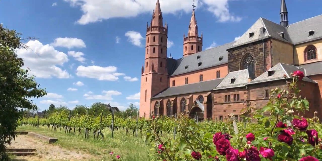 Glaube zwischen Reben: Marienmonat beginnt an Wormser Liebfrauenkirche