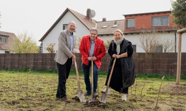 BAUHAUS pflanzt neue Waldinsel in Mannheim-Schönau