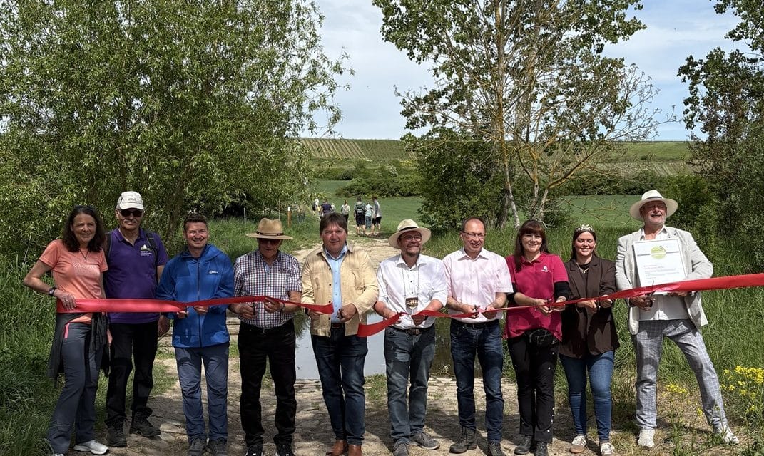 Hiwweltour Saulheimer Hölle offiziell eröffnet – neuer Prädikatswanderweg zwischen Weinbergen und Panoramen