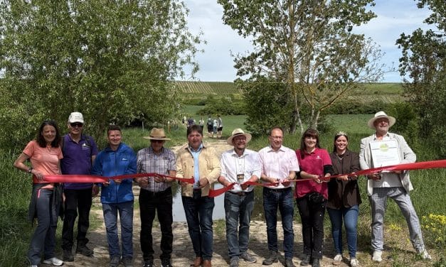 Hiwweltour Saulheimer Hölle offiziell eröffnet – neuer Prädikatswanderweg zwischen Weinbergen und Panoramen
