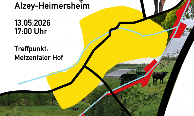 Natur erleben am Engbach: Spaziergang zeigt ökologische Vielfalt in Heimersheim