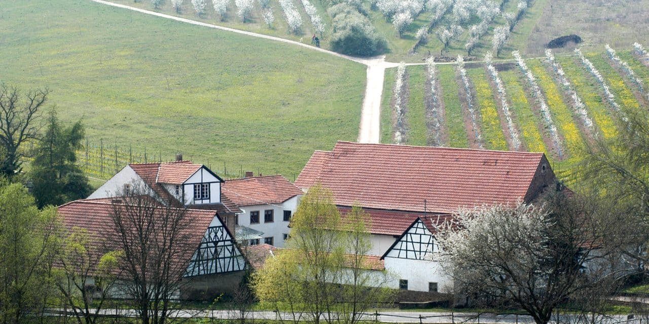 Geheimnisvolle Geistermühle – Kultur, Geschichte & Rheinhessen erleben