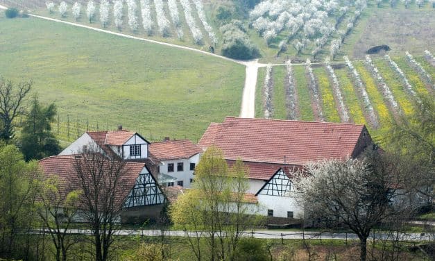 Geheimnisvolle Geistermühle – Kultur, Geschichte & Rheinhessen erleben