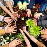 Alzey blüht auf: Kinder bepflanzen die Innenstadt mit bunten Hochbeeten