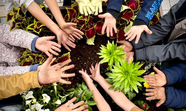 Alzey blüht auf: Kinder bepflanzen die Innenstadt mit bunten Hochbeeten