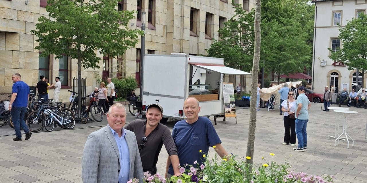 Schattenspender für die Innenstadt: Steineichen ziehen auf den Kornmarkt