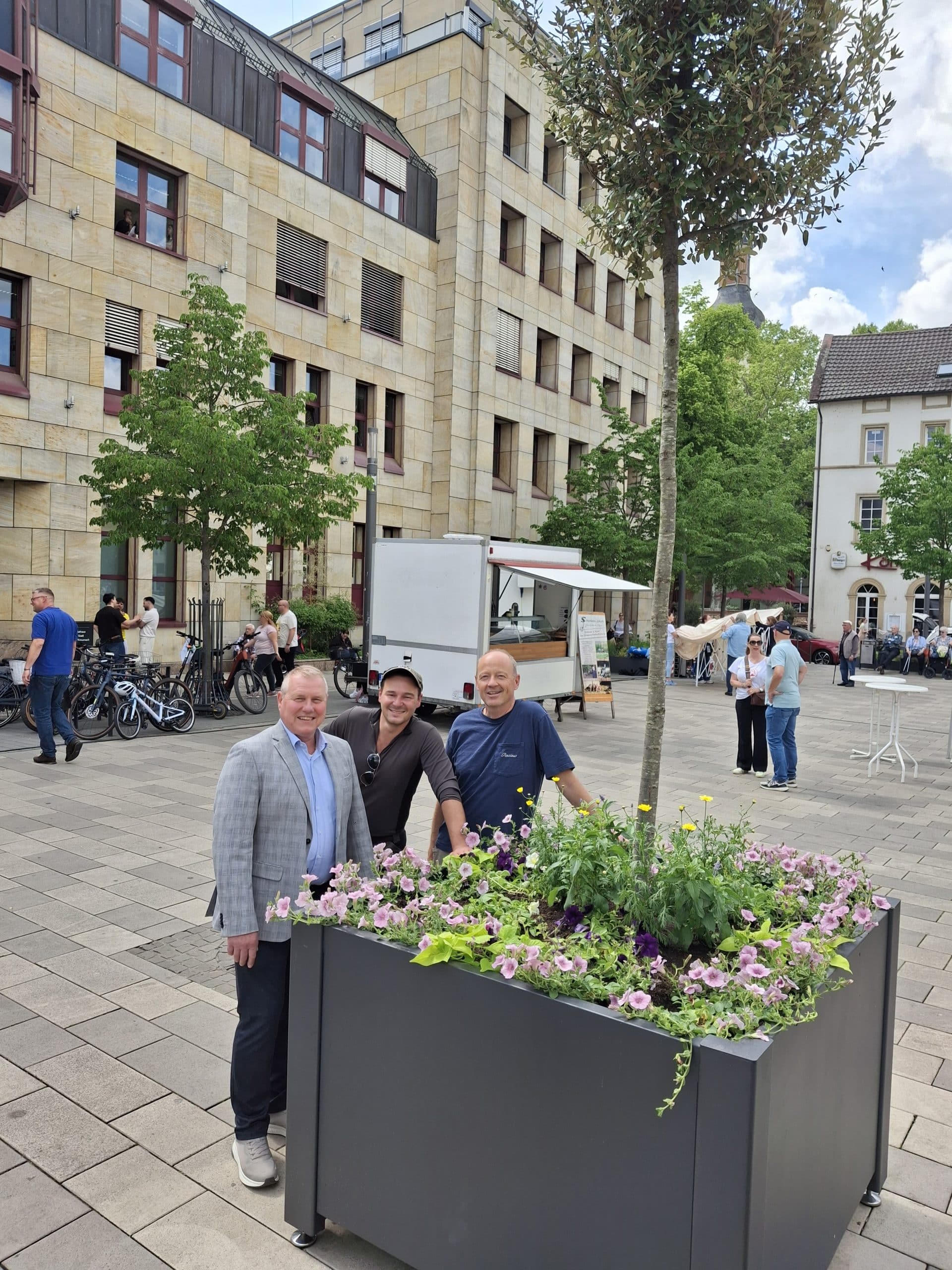 Schattenspender für die Innenstadt: Steineichen ziehen auf den Kornmarkt