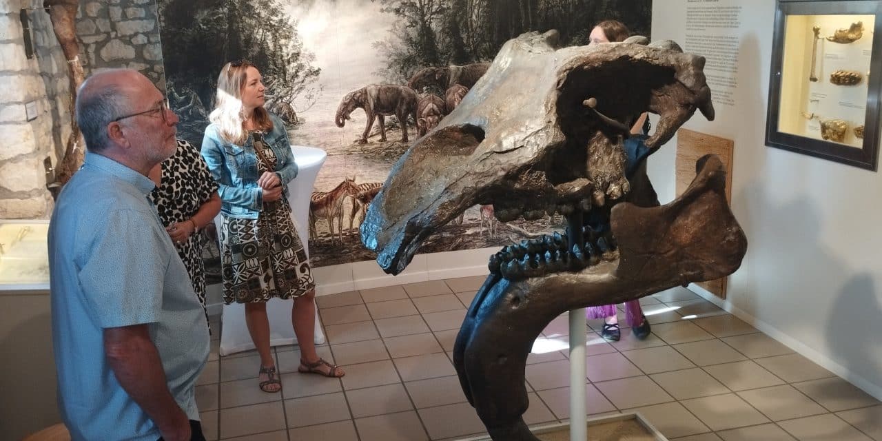 Zeitreise durch Eppelsheim – Dinotherium, Dalberger & Dorfgeschichte erleben