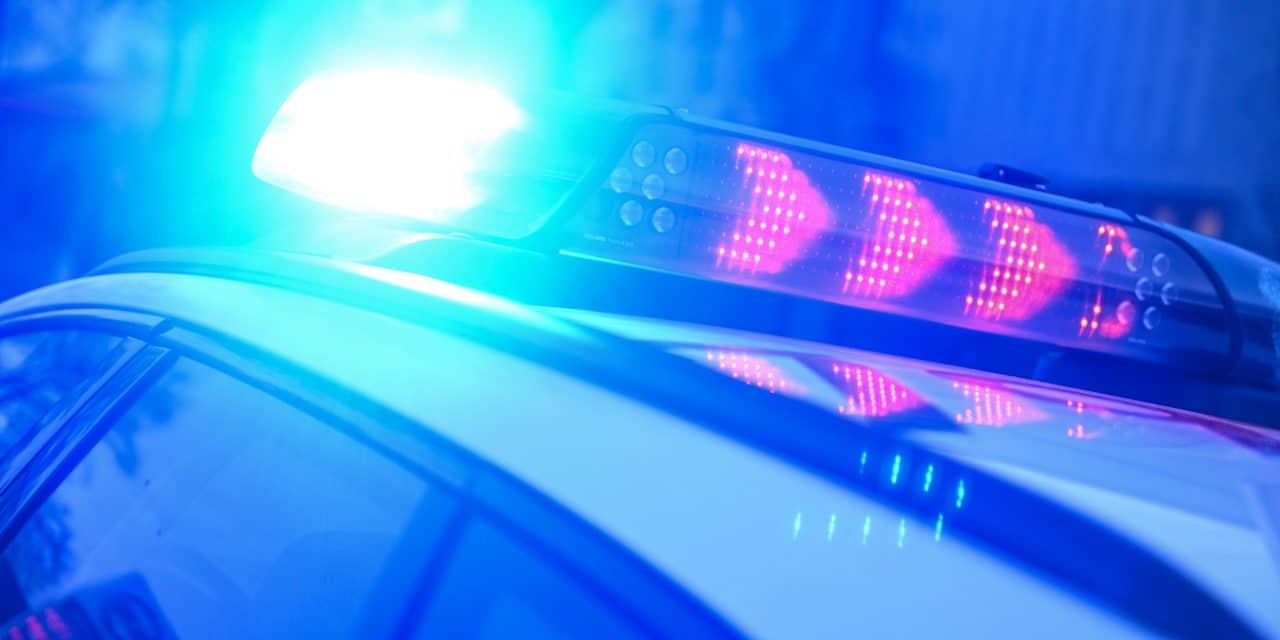 Bobenheim-Roxheim: Flucht vor Polizeikontrolle endet im Unfall im Acker