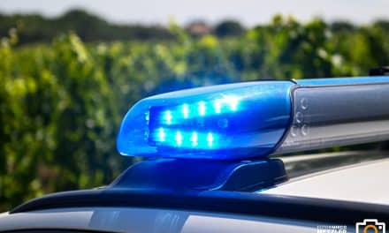 Inspektionsleuchte und Passanten überführen betrunkenen Autofahrer in Alzey