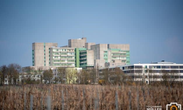 Klinikum Worms informiert zum Tag gegen den Schlaganfall über Sprachstörungen