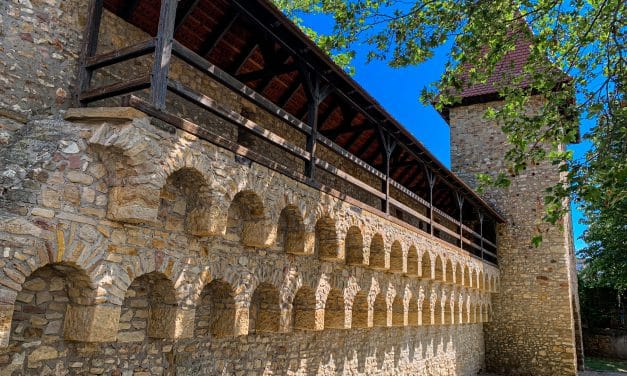 „Alzeyer Weingeschichte(n)“: Themenführung lädt zu historischem Stadtrundgang ein