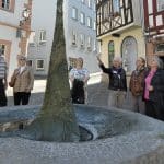 Zwischen Fachwerk, Geschichte und Rheinhessen-Charme: Alzey lädt zu besonderen Stadtführungen ein