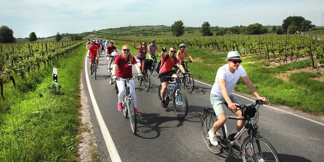 Rheinhessen rollt: EWR-RheinRadeln macht die alte B9 autofrei