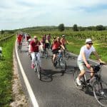 Rheinhessen rollt: EWR-RheinRadeln macht die alte B9 autofrei