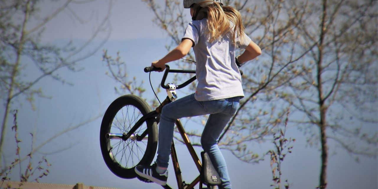 Pump, Flow und Sprunggefühl: Petition bringt Bikepark-Idee für Worms ins Rollen