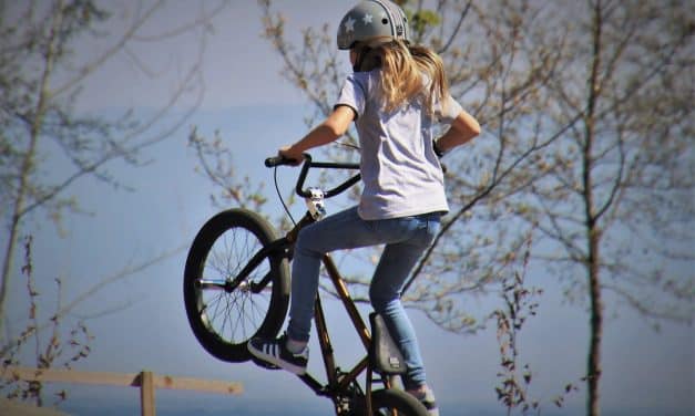 Pump, Flow und Sprunggefühl: Petition bringt Bikepark-Idee für Worms ins Rollen