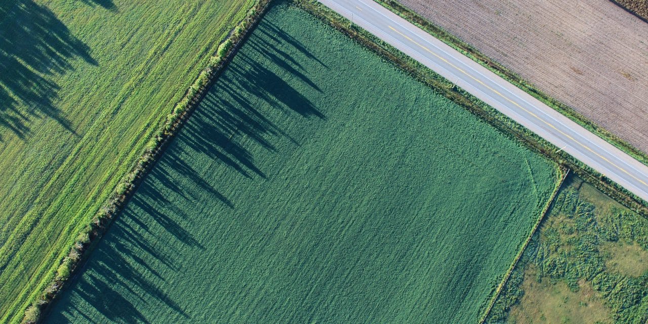 Wormser Grüne lehnen Gewerbegebiet am Hohen Stein weiter ab